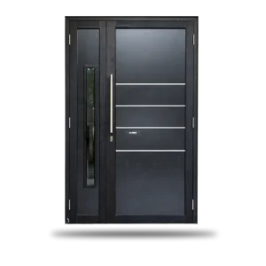 Black Horizon Door